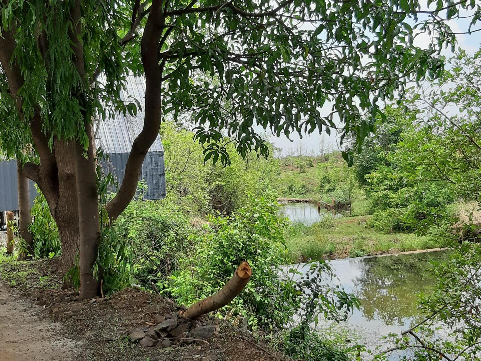 River Ranch Saralgaon Kültér fotó